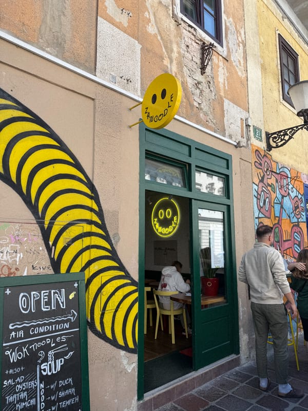 Zanoodle - Asian fusion done right on Rimska cesta
